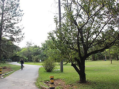 Parques de Barueri reabrem neste feriado