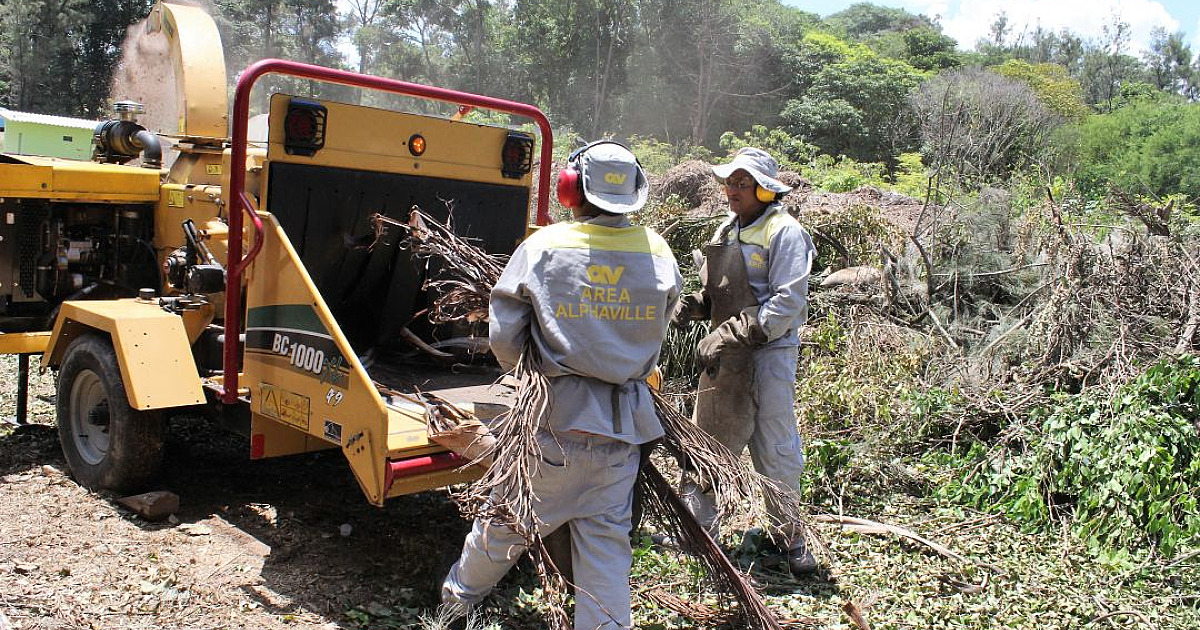 Em defesa do meio ambiente, a AREA investe em reciclagem das podas de jardim