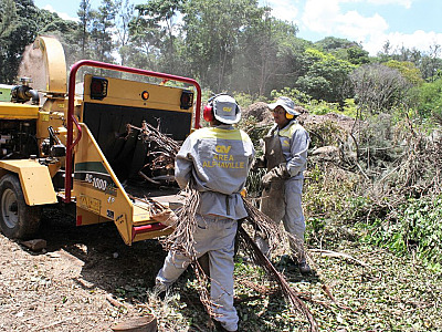 Em defesa do meio ambiente, a AREA investe em reciclagem das podas de jardim