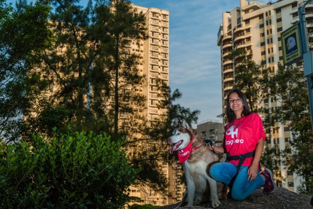 Aplicativo DogHero lança serviço de passeios com cães em Barueri