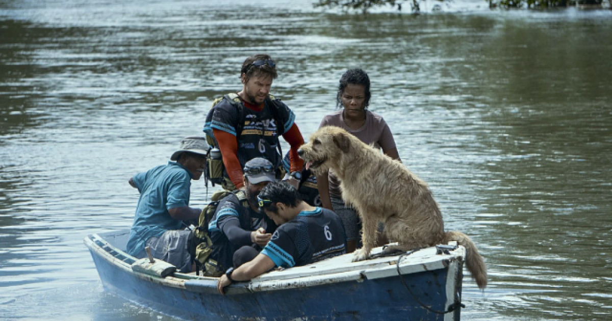 “Uma Prova de Coragem” estreia nas telonas