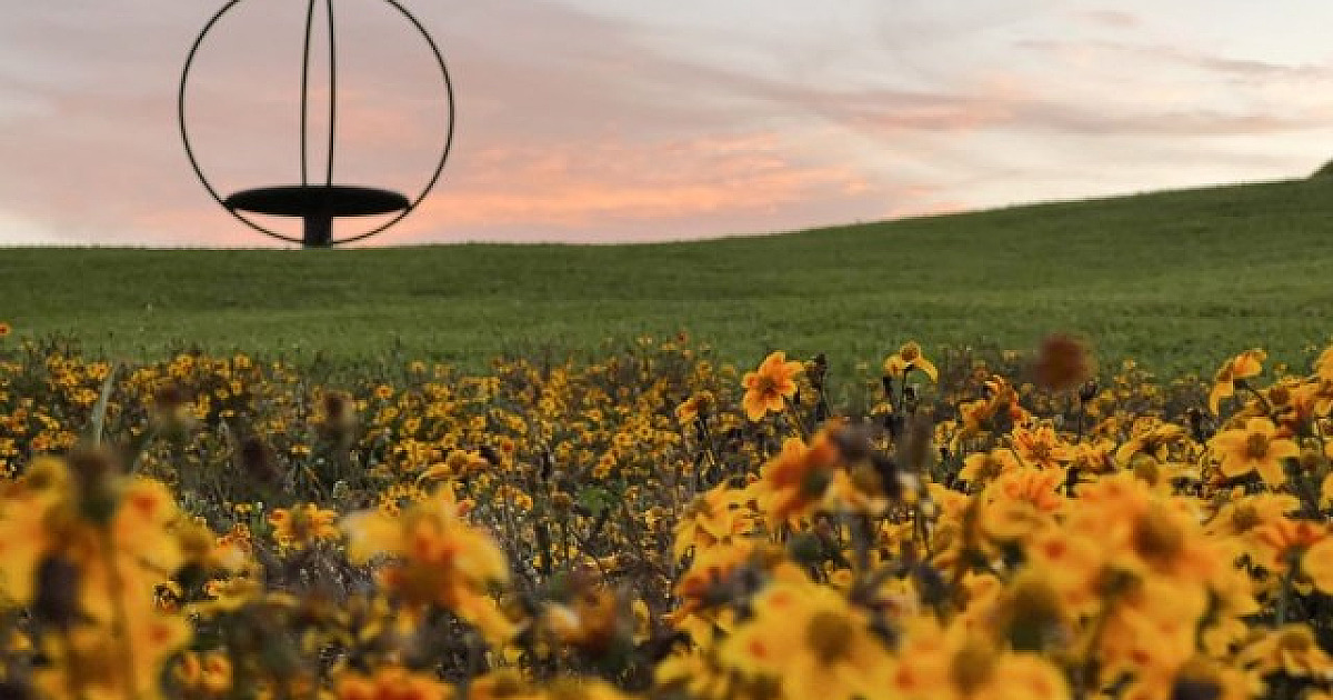 Festival Bolhas de Sabão é destaque na Serra Gaúcha