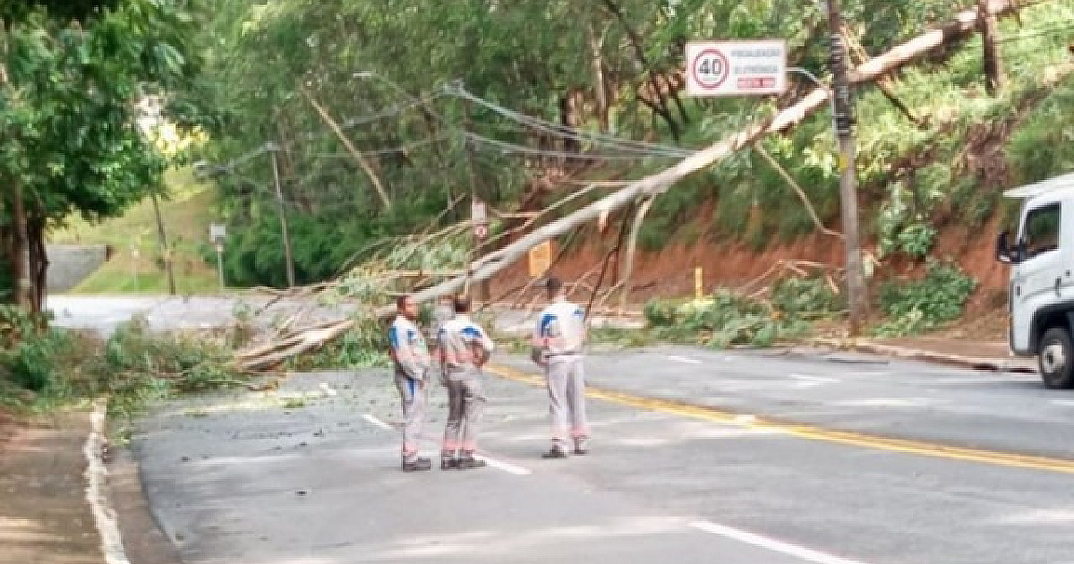 Árvore de grande porte cai sobre fiação e Via Parque é interditada