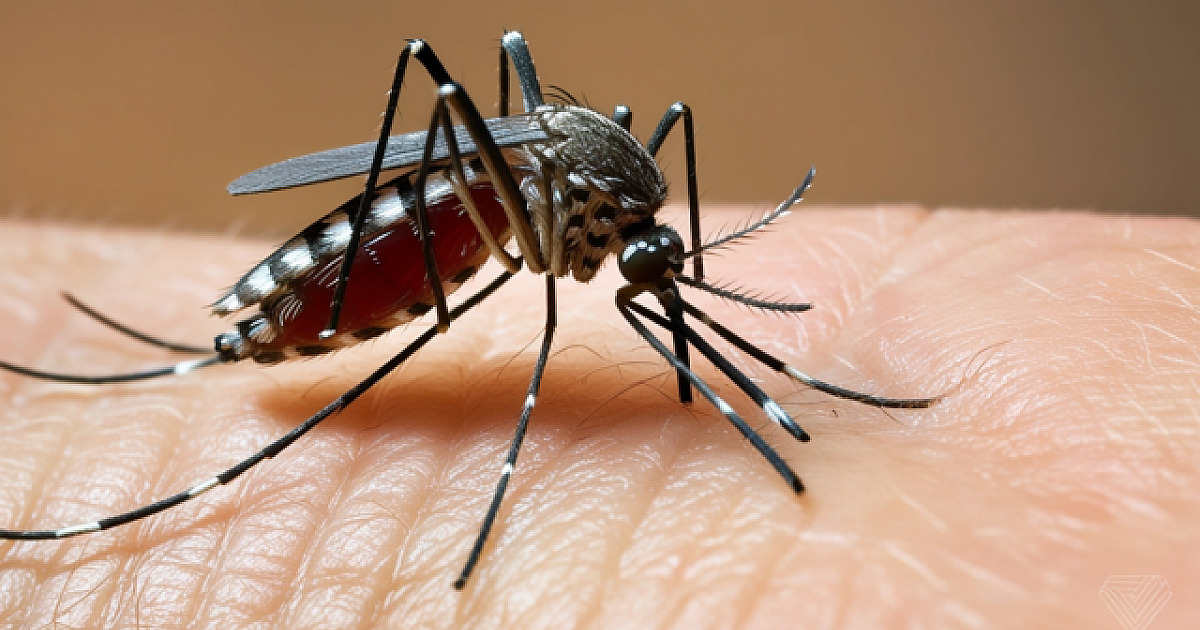 Barueri e Santana de Parnaíba anotam mais de 3,7 mil casos de dengue, aponta CVE-SP