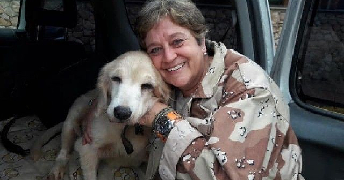 Santuário de animais precisa de doações