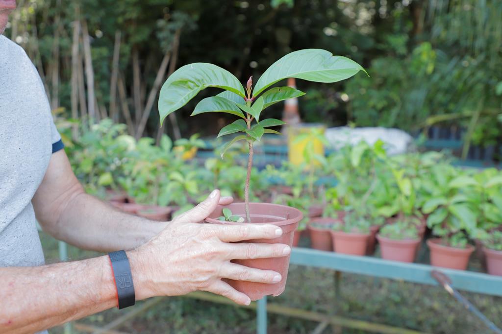 Barueri conquista 2º lugar no Programa Município VerdeAzul com melhor nota da história