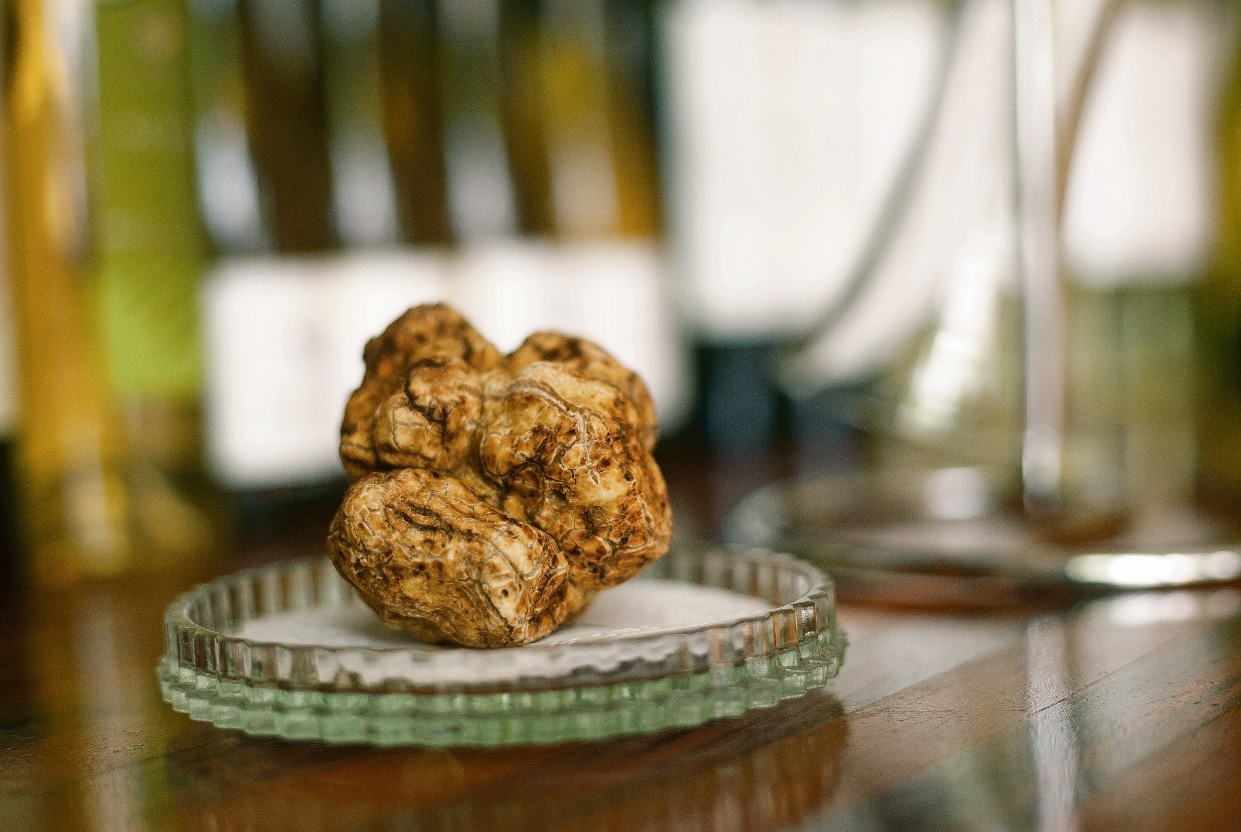 “Joia Italiana” ganha destaque