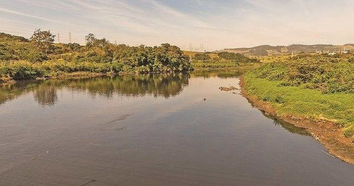 Justiça cobra quatro prefeituras da região sobre recuperação do Rio Tietê