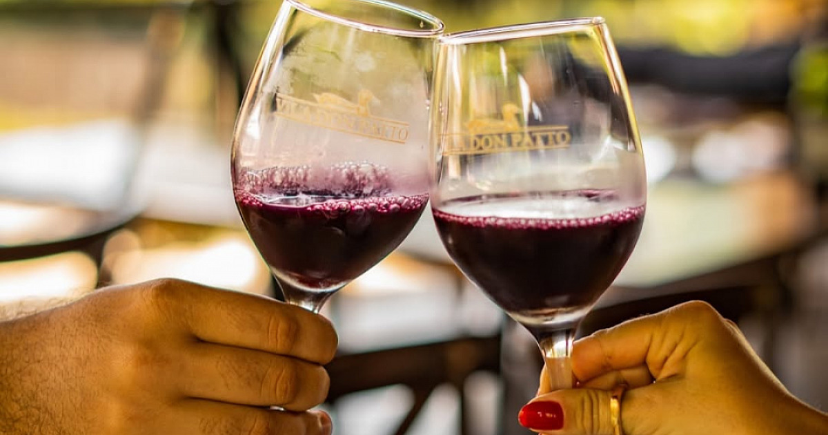 Roteiro do Vinho em São Roque oferece programação especial para o verão com experiências enoturístic