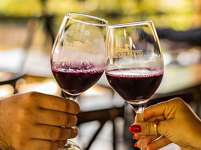 Roteiro do Vinho em São Roque oferece programação especial para o verão com experiências enoturístic