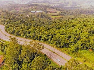 Enquanto Barueri mantém “nível zero”, Santana de Parnaíba tem aumento no desmatamento