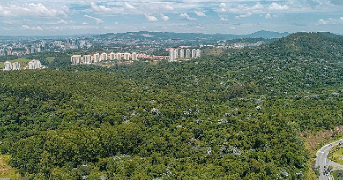 Parnaíba institui Selo de Desenvolvimento Sustentável