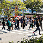 Expectativa de vida no país sobe para 76,6 anos, a maior já registrada