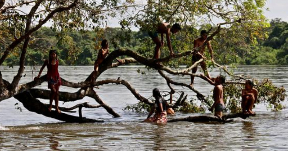 Objetivo transmite live com o tema “Os 60 anos do Parque Indígena do Xingu”