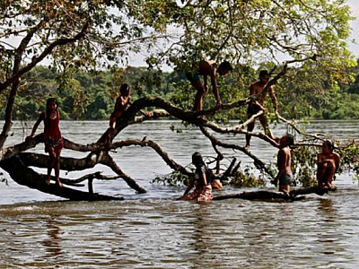 Objetivo transmite live com o tema “Os 60 anos do Parque Indígena do Xingu”
