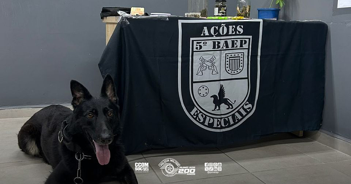 Homem foragido por roubo é preso por tráfico de drogas em Santana de Parnaíba