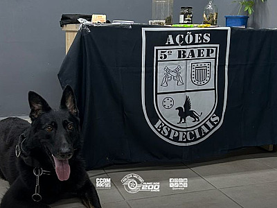 Homem foragido por roubo é preso por tráfico de drogas em Santana de Parnaíba