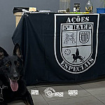 Homem foragido por roubo é preso por tráfico de drogas em Santana de Parnaíba