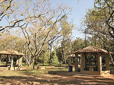 Barueri promove férias sustentáveis com atividades infantis na Sala Verde