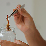 Com a chegada do verão, aumenta o risco de acidentes com animais peçonhentos