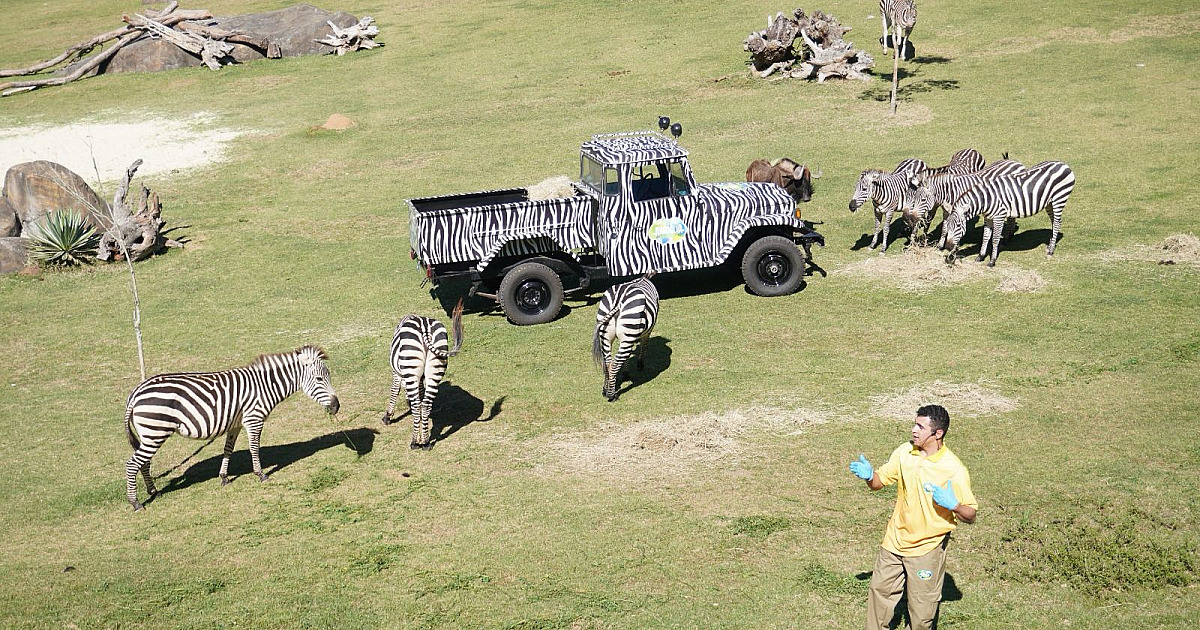 Ecovias Raposo Castello destaca atrações turísticas próximas às rodovias