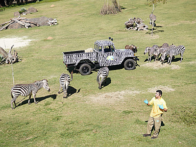 Ecovias Raposo Castello destaca atrações turísticas próximas às rodovias