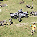 Ecovias Raposo Castello destaca atrações turísticas próximas às rodovias