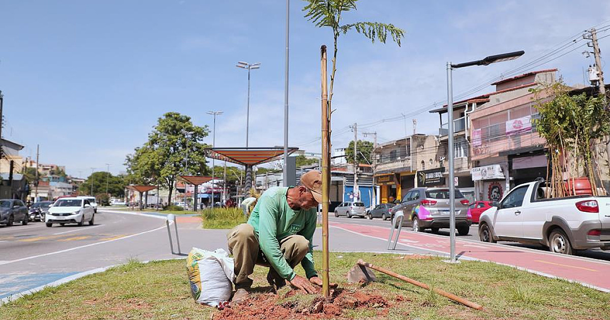 Prefeitura de Barueri avalia quase 4 mil árvores e planta mais de 2,6 mil mudas