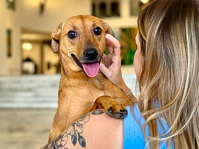 A nova lei reconhece o vínculo afetivo entre tutores e animais de estimação