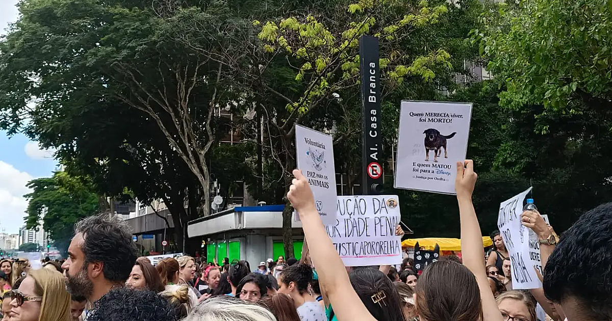 Caso Orelha: polícia pede internação de adolescente envolvido no crime