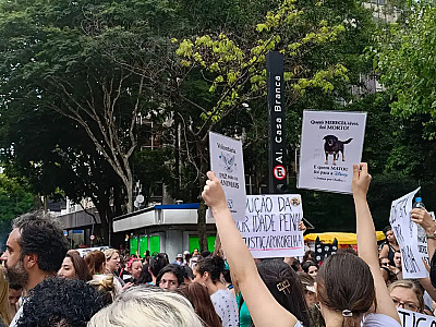 Caso Orelha: polícia pede internação de adolescente envolvido no crime