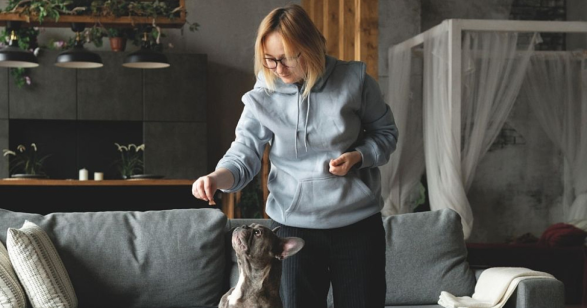 Pesquisa mostra que 26% dos compradores já priorizam estrutura pet ao escolher imóvel