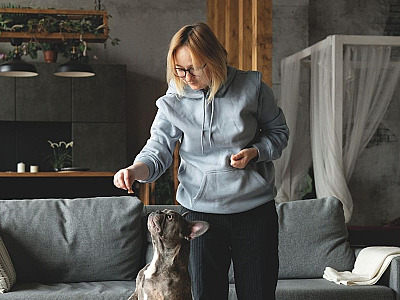 A influência dos animais de estimação deixou de ser apenas afetiva e passou a orientar decisões estruturais de consumo