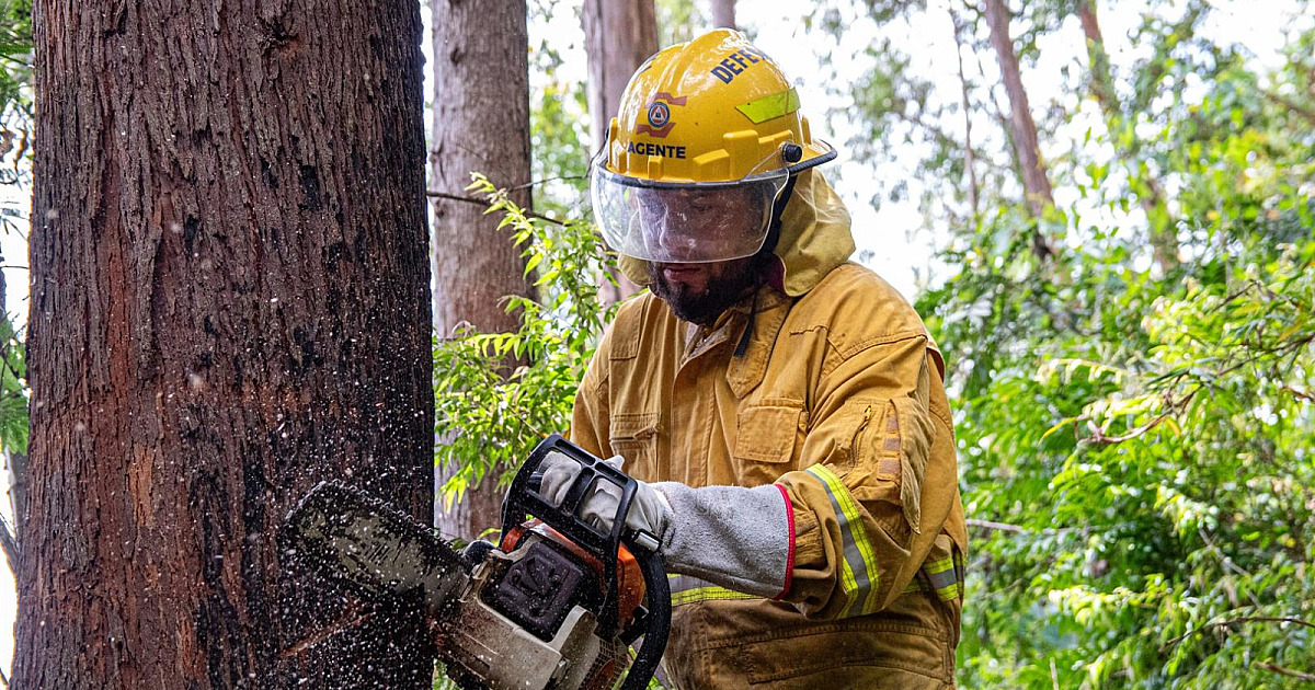 Defesa Civil intensifica ações preventivas durante período de chuvas em Santana de Parnaíba
