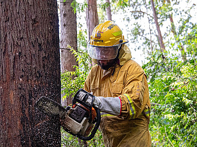 Defesa Civil intensifica ações preventivas durante período de chuvas em Santana de Parnaíba