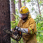 Defesa Civil intensifica ações preventivas durante período de chuvas em Santana de Parnaíba