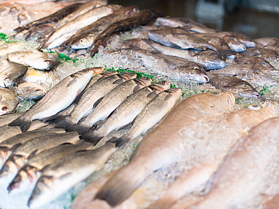 Instituto de Pesos e Medidas do Estado de São Paulo (Ipem-SP) orienta a população sobre os principais cuidados na hora de comprar peixes, frutos do mar e outros pescados