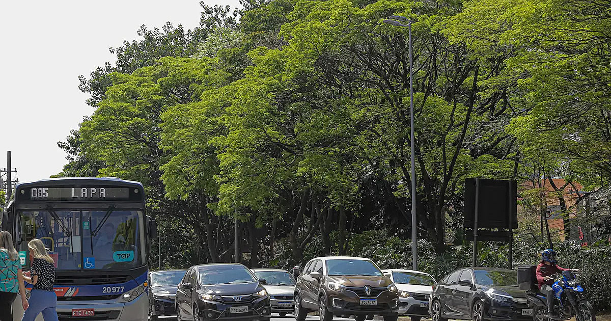 Frota da região aumenta 33% em uma década, especialista alerta para crise