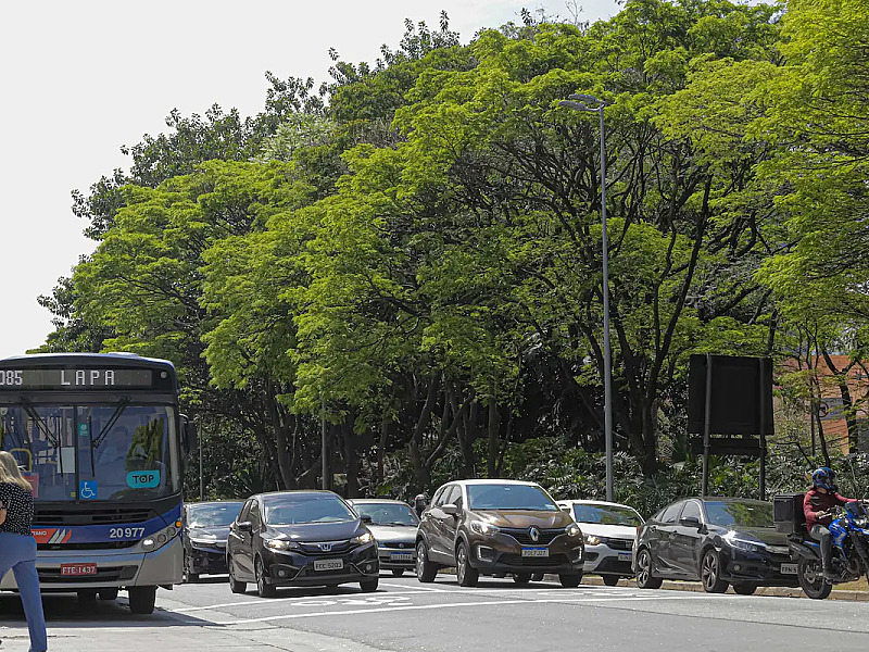 Frota da região aumenta 33% em uma década, especialista alerta para crise