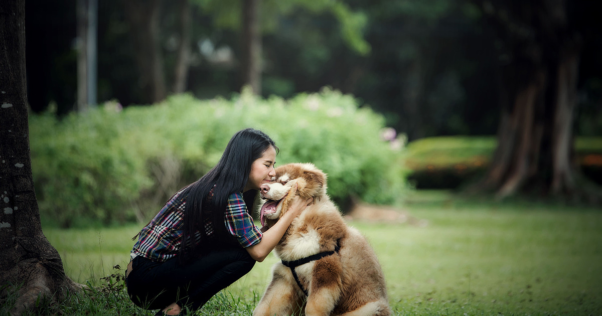 CIOESTE promove 1º Pet Day Regional com ações de bem-estar animal
