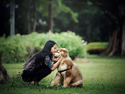 A programação inclui feira de adoção responsável, atendimentos veterinários, serviços de banho e tosa