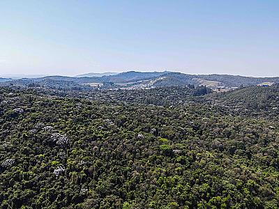 Reserva Biológica Tamboré é uma das maiores Unidades de Conservação