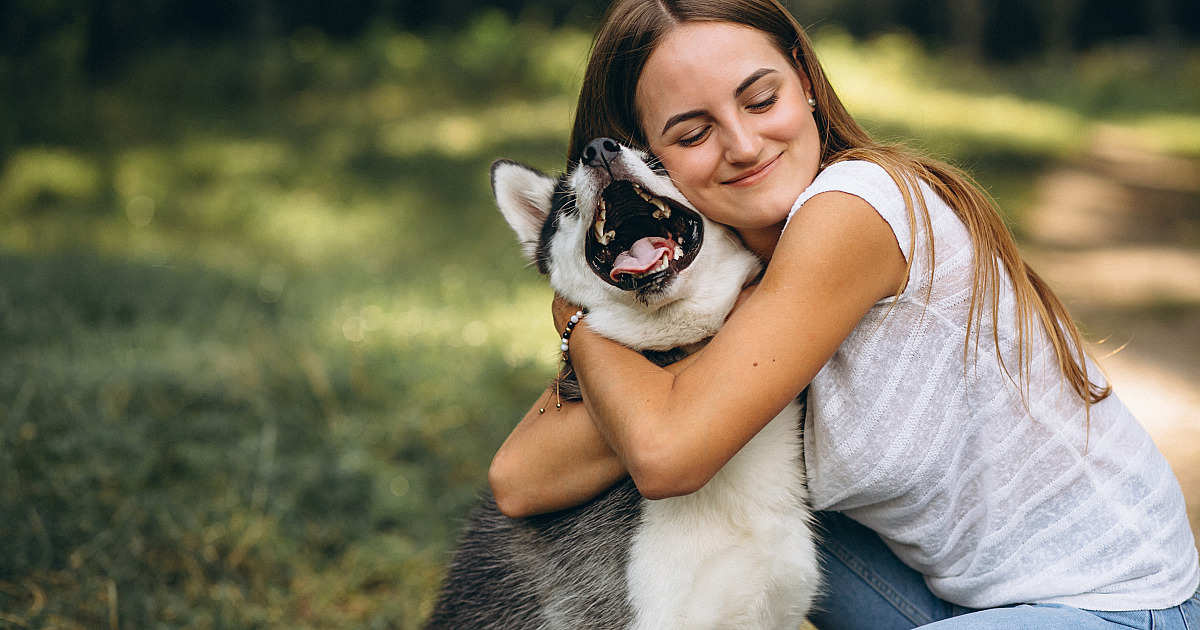 Lei que regulamenta guarda compartilhada de pets é sancionada pelo governo