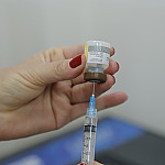 São Paulo registra 6 casos de febre amarela com 3 mortes pela doença