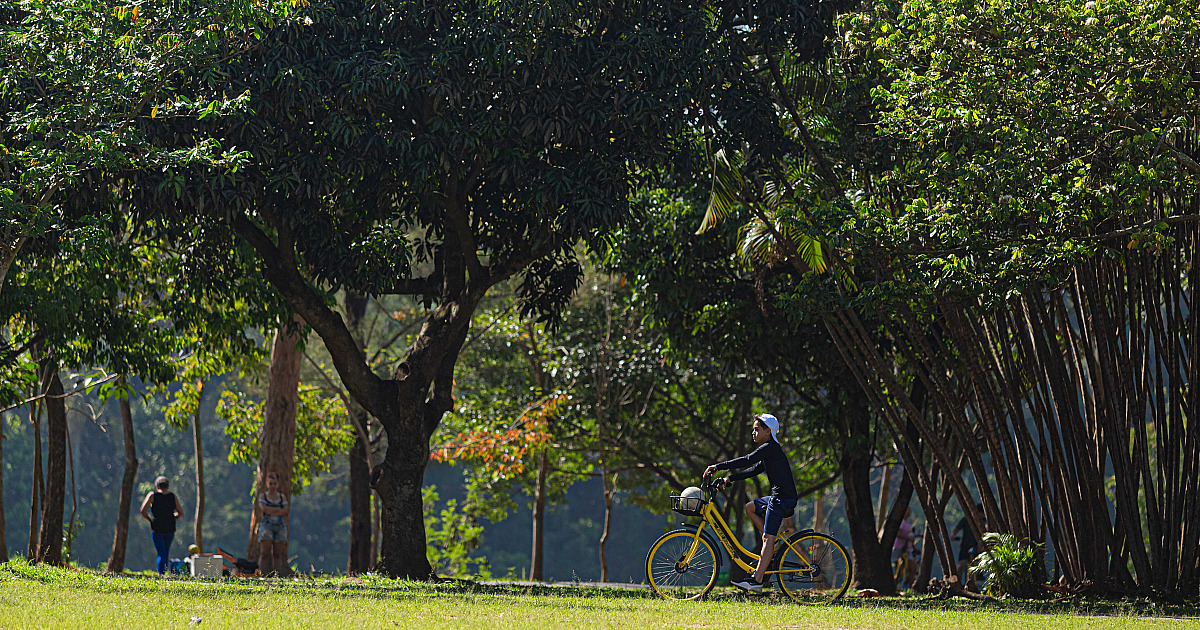 Confira o que abre e fecha no Dia do Trabalhador