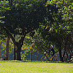 Confira o que abre e fecha no setor público e no setor bancário durante o feriado de 1º de maio