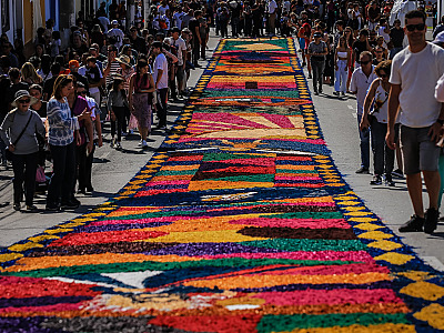 Neste ano, a celebração terá como tema “Eucaristia: presença real de Cristo que santifica e edifica as famílias”