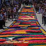 Santana de Parnaíba prepara Corpus Christi com um dos maiores tapetes de serragem do país