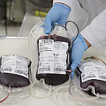 Junho Vermelho reforça necessidade de doações regulares de sangue