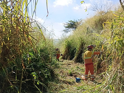 Atualmente, as equipes atuam preventivamente entre os quilômetros 46 e 54 da Castello Branco